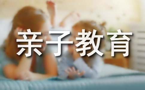 ���ӽ������������ӹ�ϵ��15����ʿ